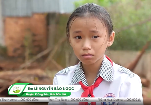Lá chưa lành - Lê Nguyễn Bảo Ngọc